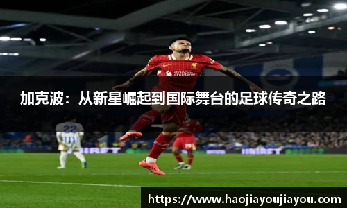 加克波：从新星崛起到国际舞台的足球传奇之路